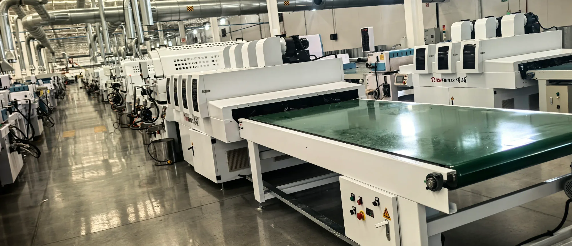Solid Wood Panel Roll Coating – Boost Production Capacity While Preserving Natural Wood Grain